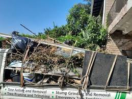 Best Demolition Debris Removal  in Mooresville, IN