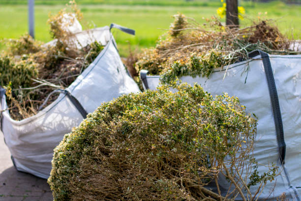 Best Shed Removal  in Mooresville, IN